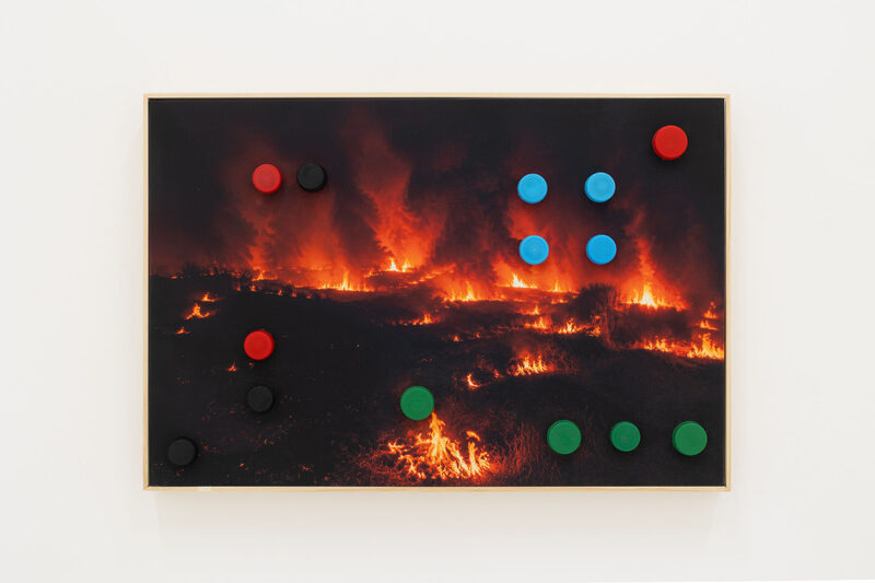 Neblina alrededor del árbol