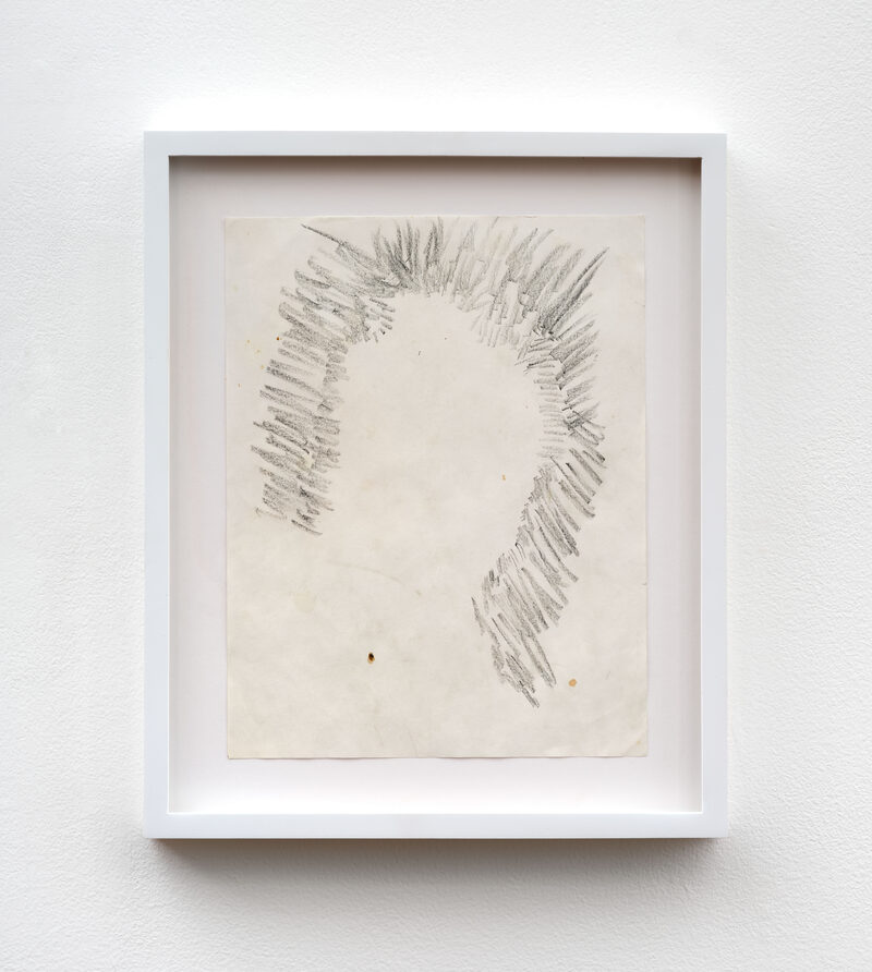 Benjamin Echeverria