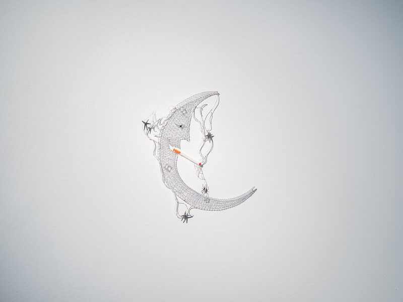Lure
