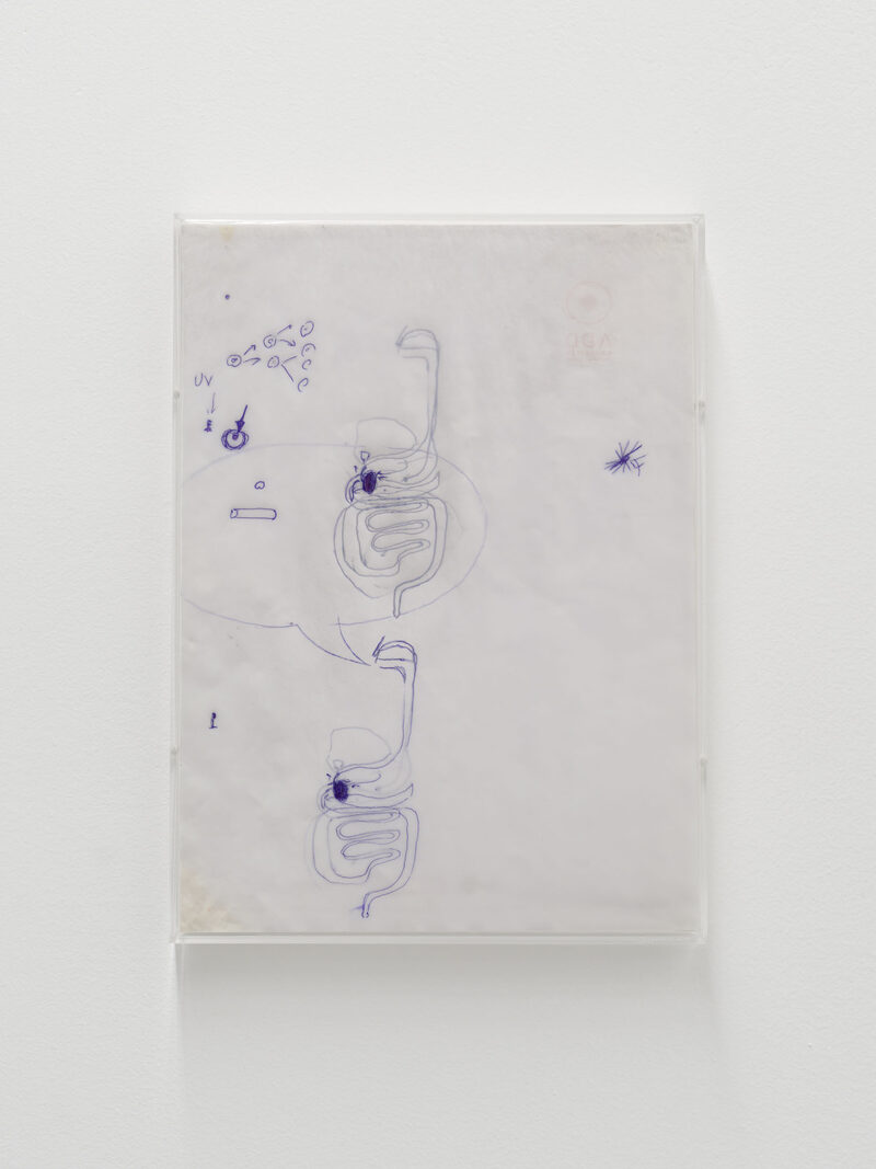 Yvonne Rainer: A Reader