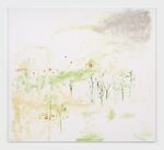Trevor Shimizu