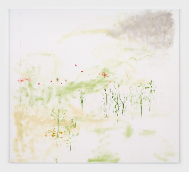 Trevor Shimizu