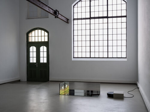 View featured exhibition Confusion model into a butterfly at Kunstverein für Mecklenburg und Vorpommern in Schwerin