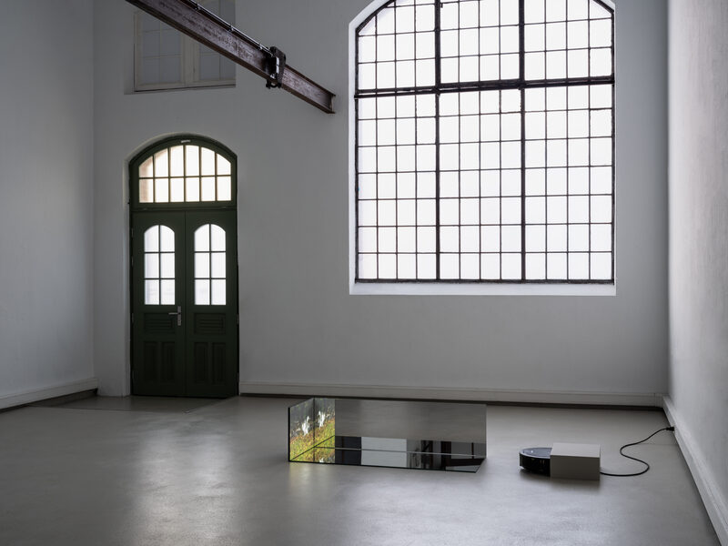 Confusion model into a butterfly