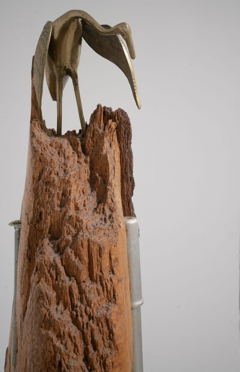 Kea de Buretel, Naomi Hawksley, Will Rose