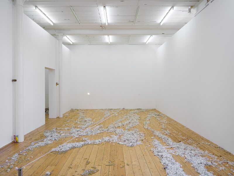 Jason Dodge