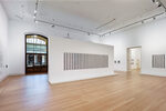 Peter Hujar / Liz Deschenes: Persistence of Vision