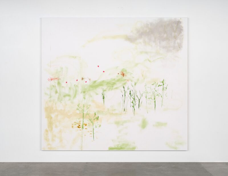 Trevor Shimizu