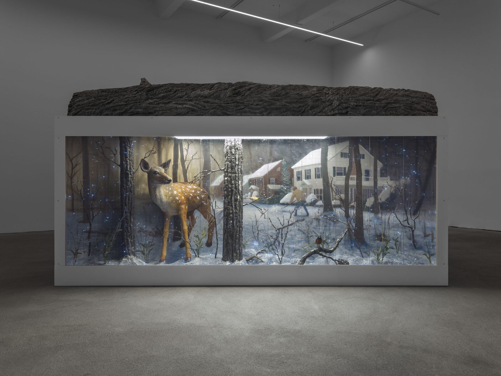 Image gallery Cold Front