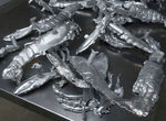 Lobster and shrimp on my plate, I need my pockets so fat they inflate (Vol. 4: Back of the Kitchen)