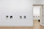 Peter Hujar / Liz Deschenes: Persistence of Vision