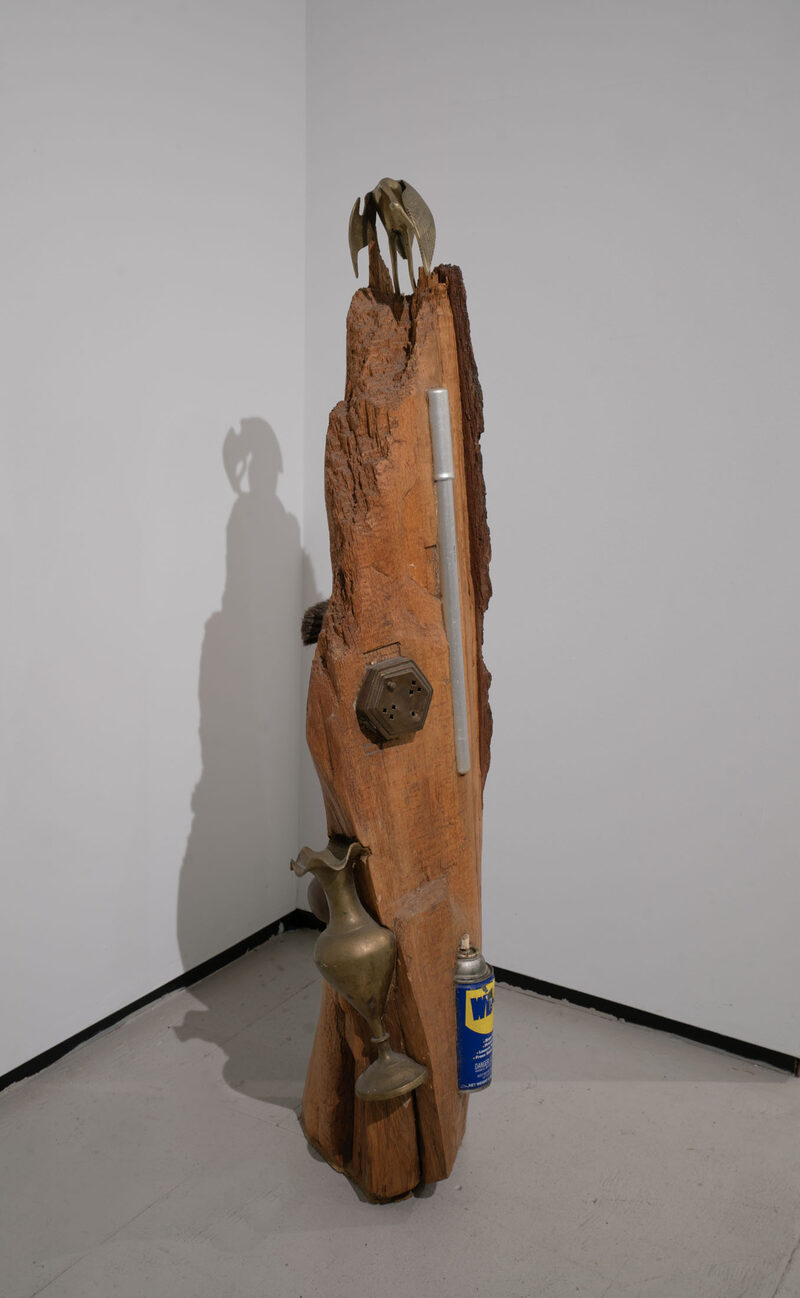 Kea de Buretel, Naomi Hawksley, Will Rose