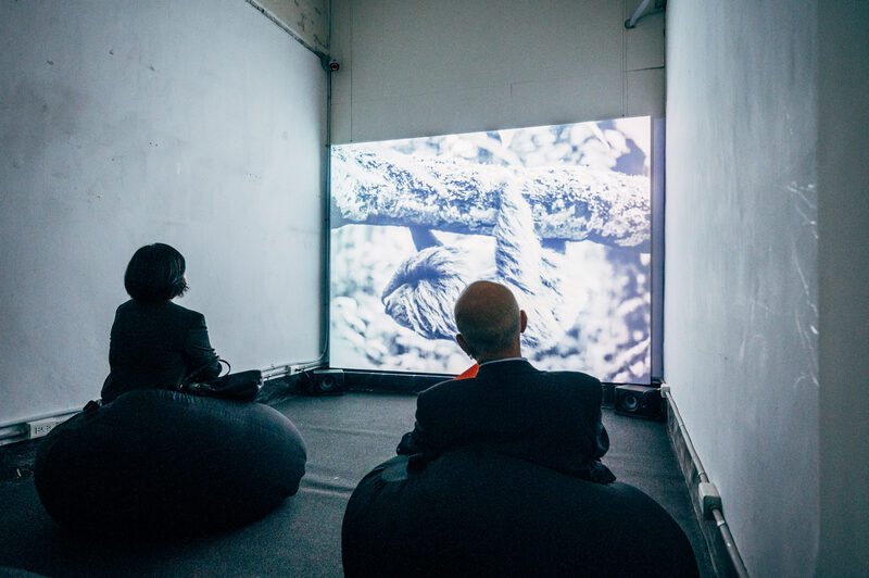 Taiwan International Video Art Exhibition – ANIMA
