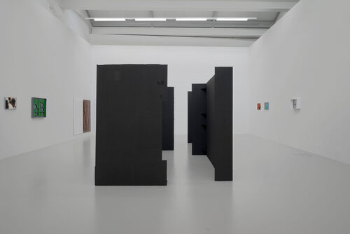 View featured exhibition Faux Terrain at CAN - Centre d'art Neuchâtel