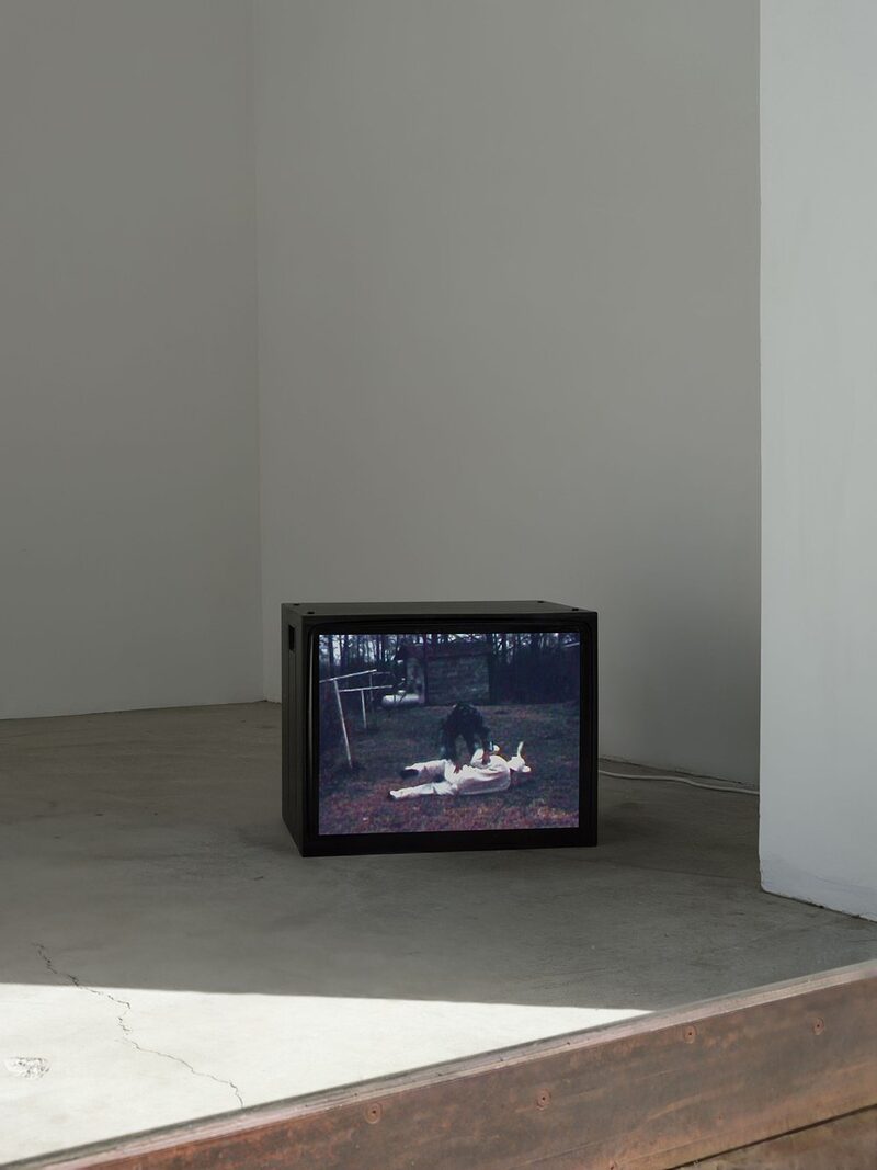 Longer Than the Sky: Art of the Obama Years