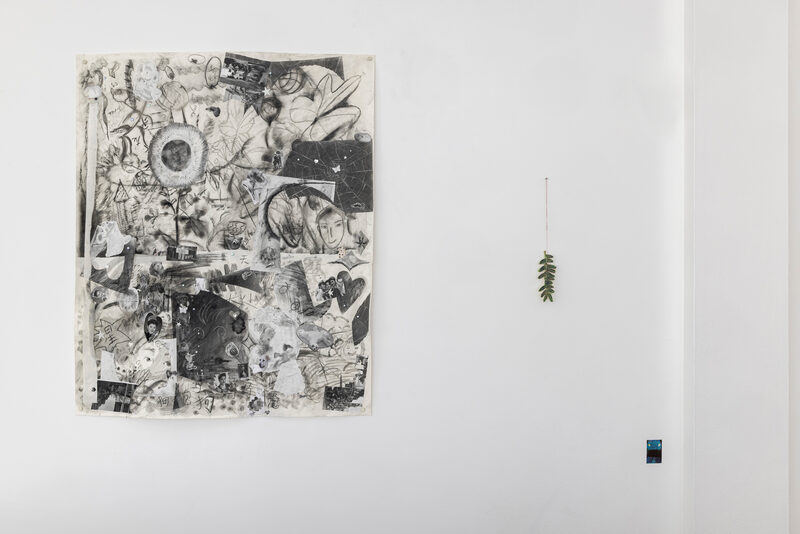 To pluck eternity along the lines of circadian rhythm