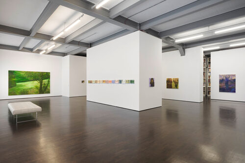 View featured exhibition Flying Dreams at Braunsfelder