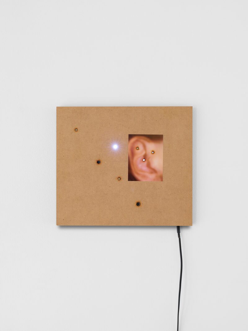 Apophenia