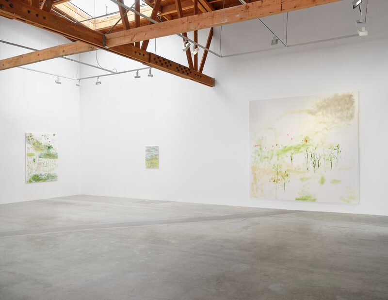 Trevor Shimizu