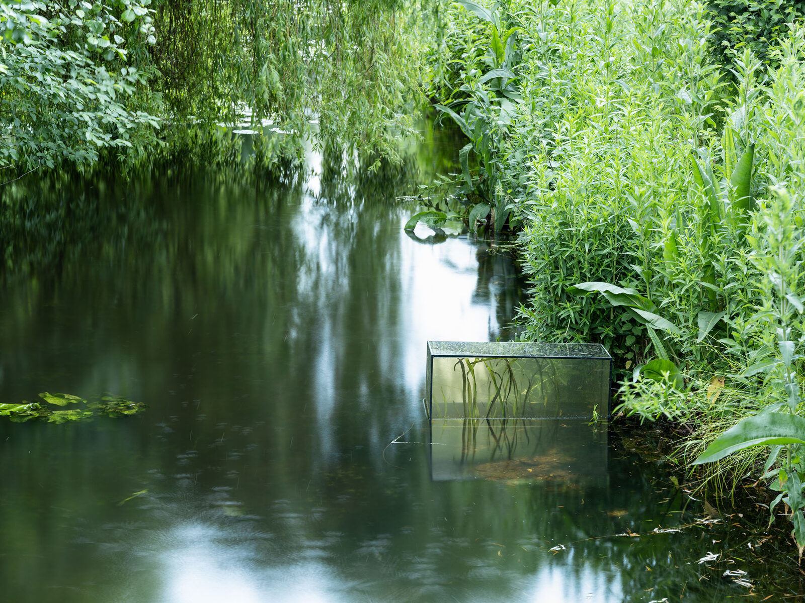 Image gallery why do rivers cry?