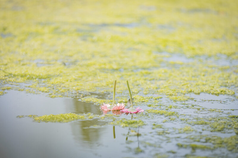 DOORS OF PERCEPTION. SUMMER / WINTER