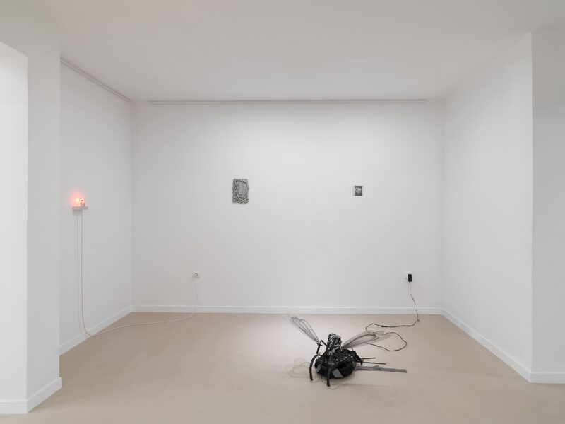 Syndromes of Synthetic Never