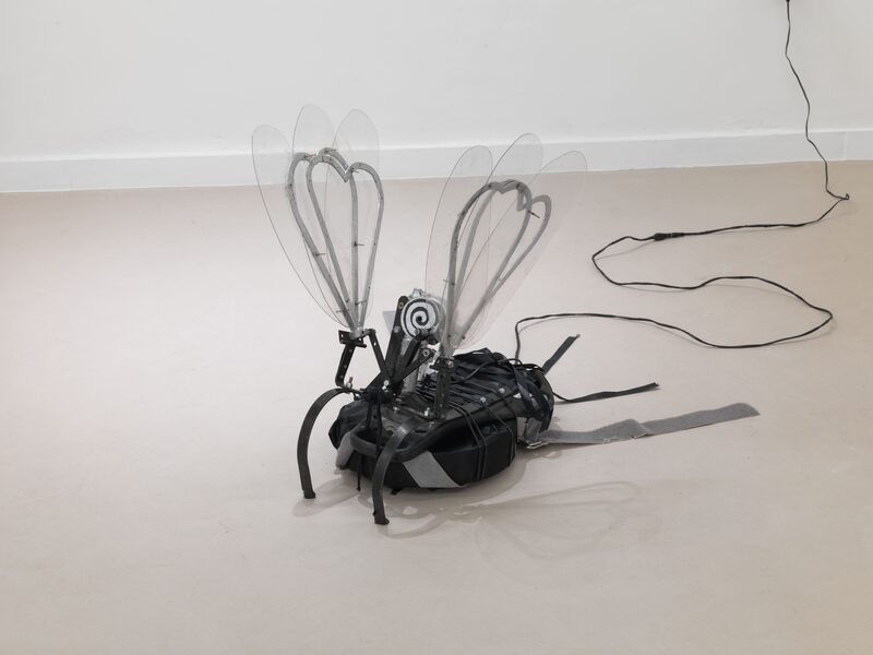 Syndromes of Synthetic Never