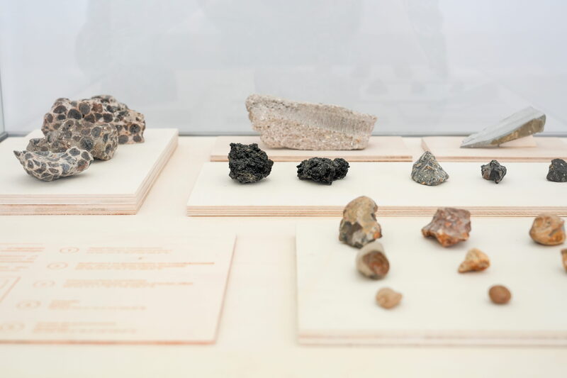 January has April's showers