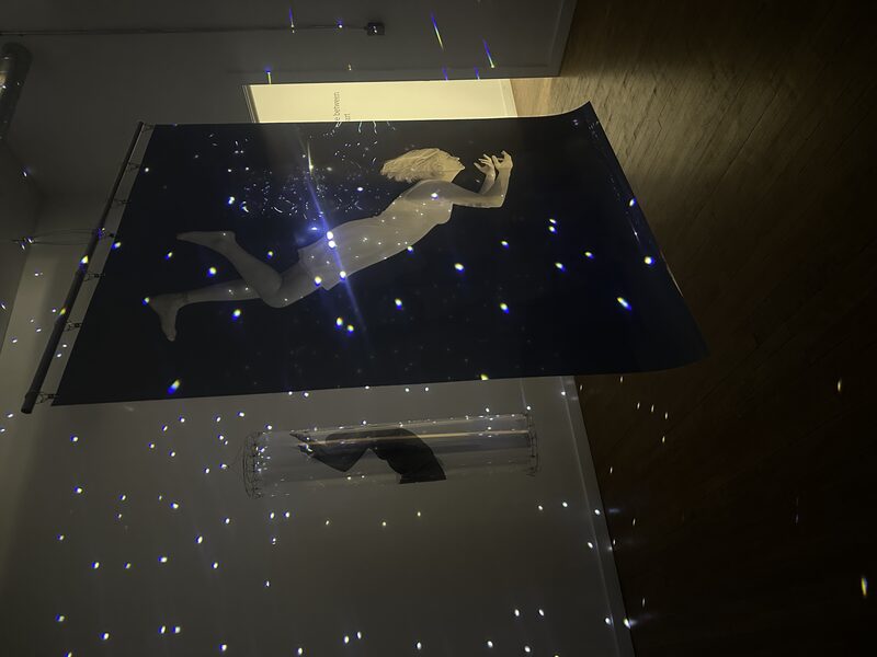 the space between: tara bogart