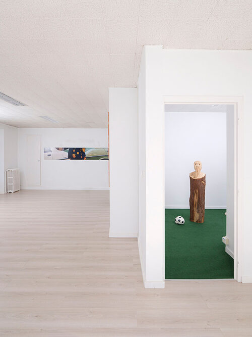 View featured exhibition Déjà vu at Passerelle Centre d'art contemporain
