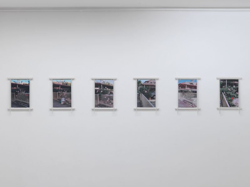 Syndromes of Synthetic Never