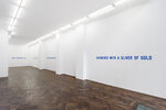 LAWRENCE WEINER: IN RELATION TO PROBABLE USE