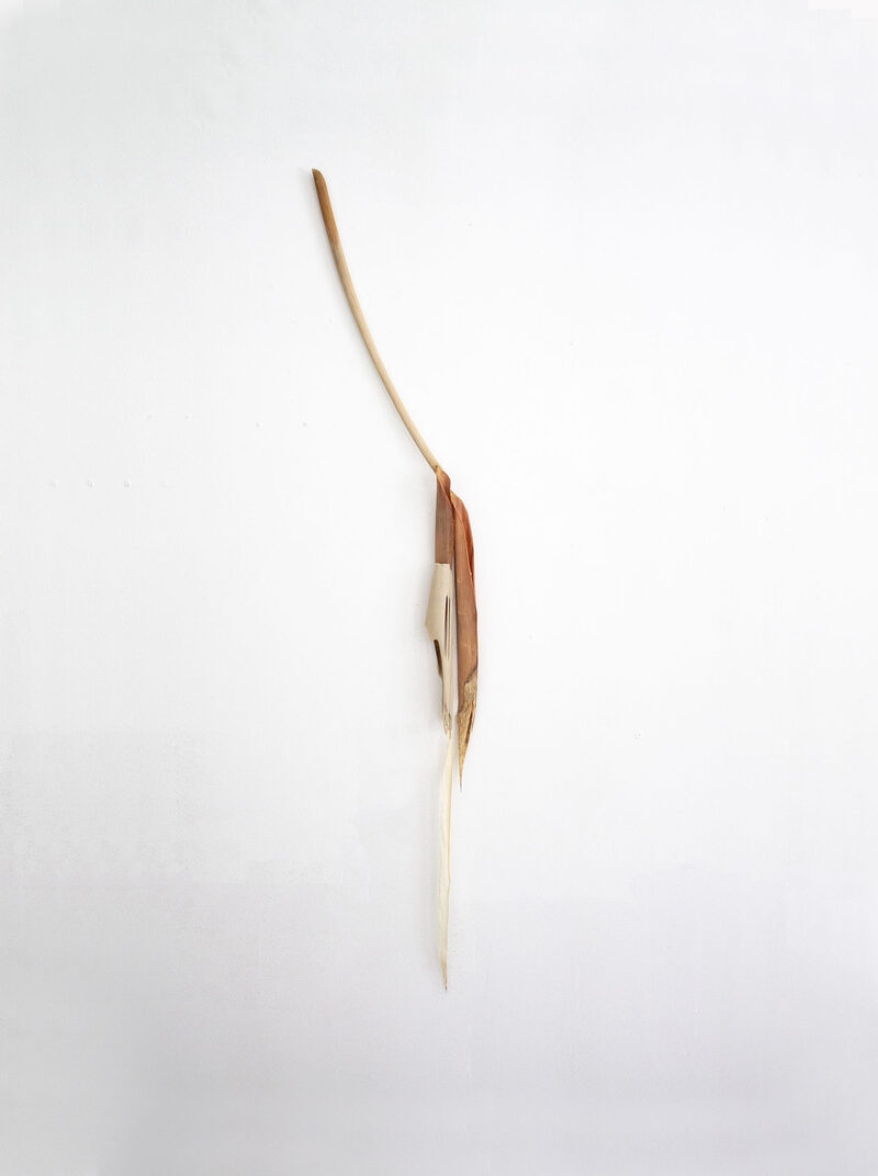 Withering into breath, wetness undoes itself