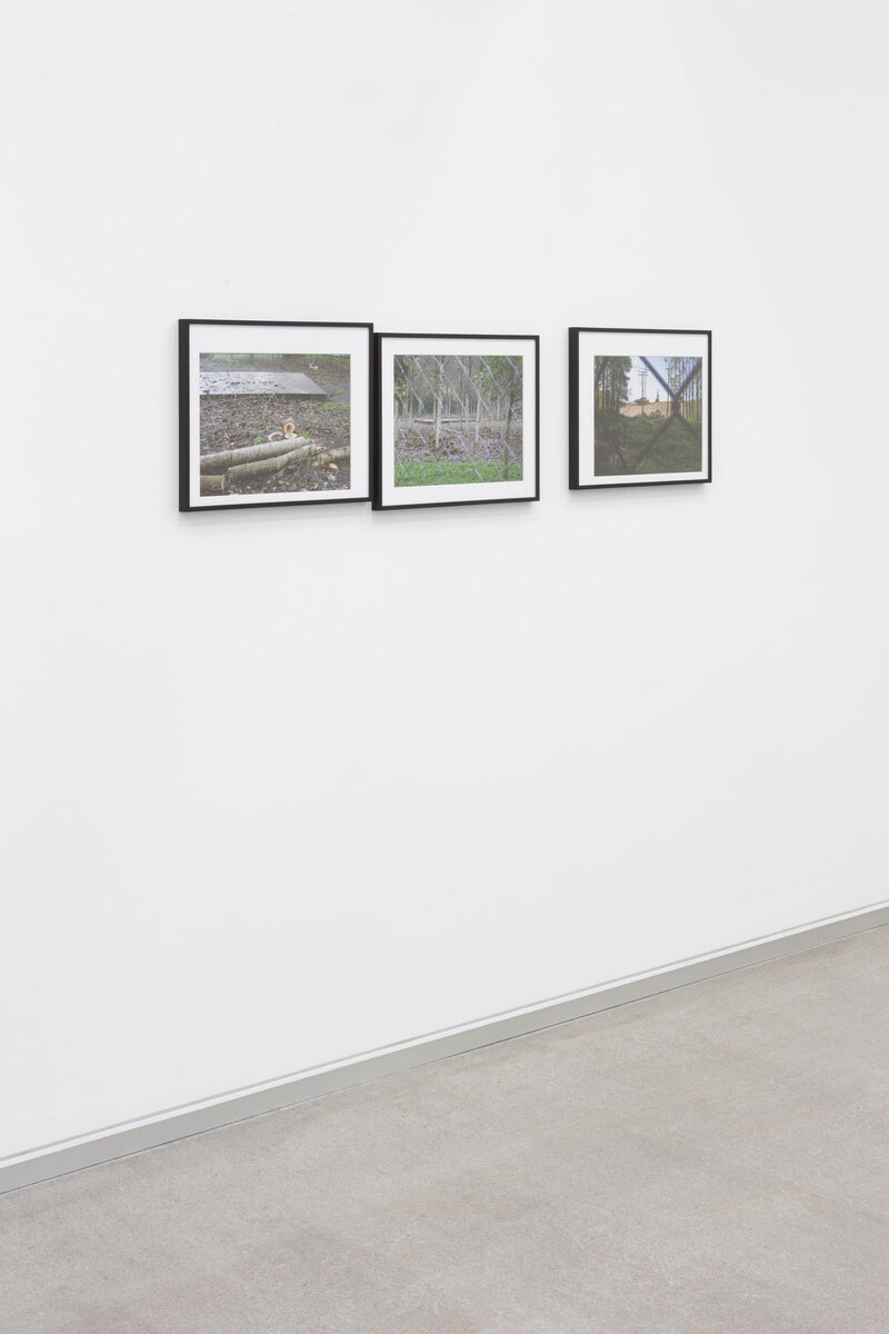 Herramientas Previas (Pre-Tools)