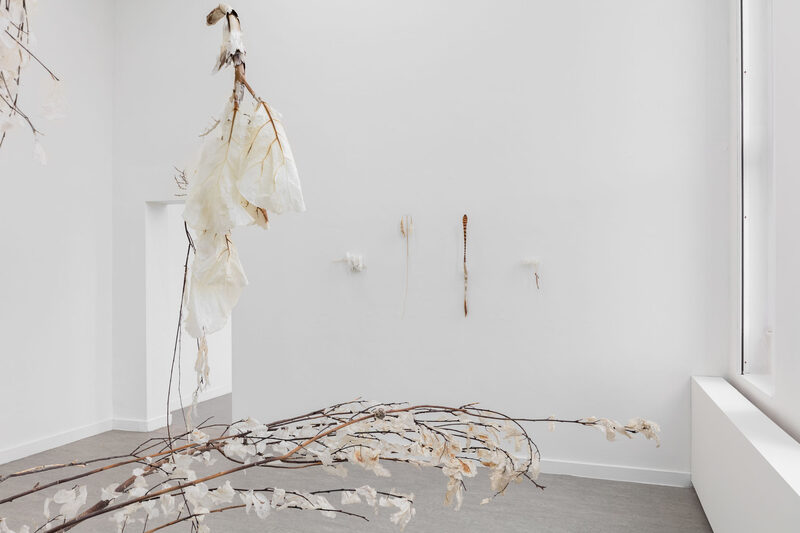 Withering into breath, wetness undoes itself