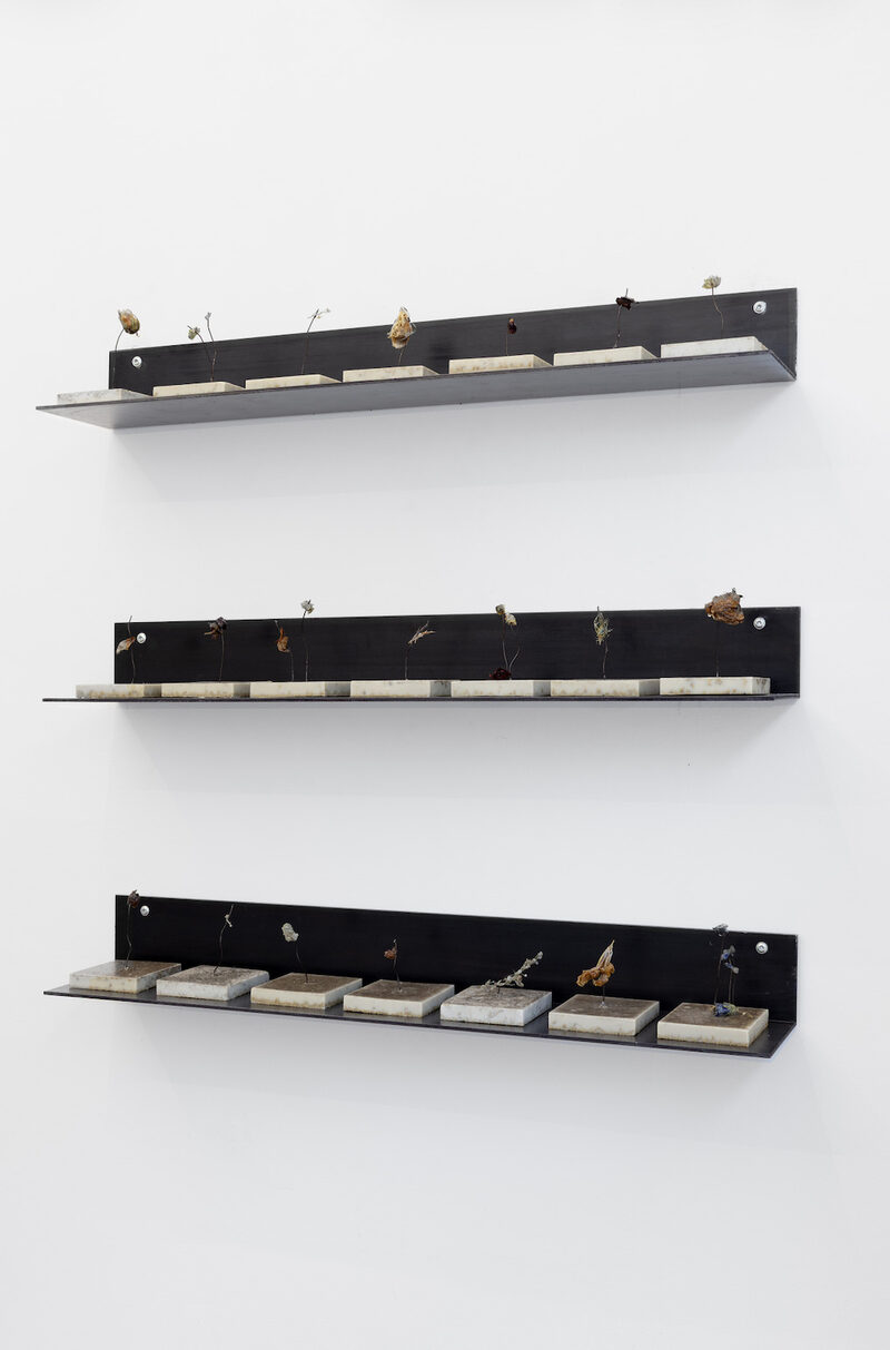 Touch, Spring / Berührung, Frühling