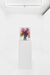 ECCPROJECTS #35 Marius Boekhorst