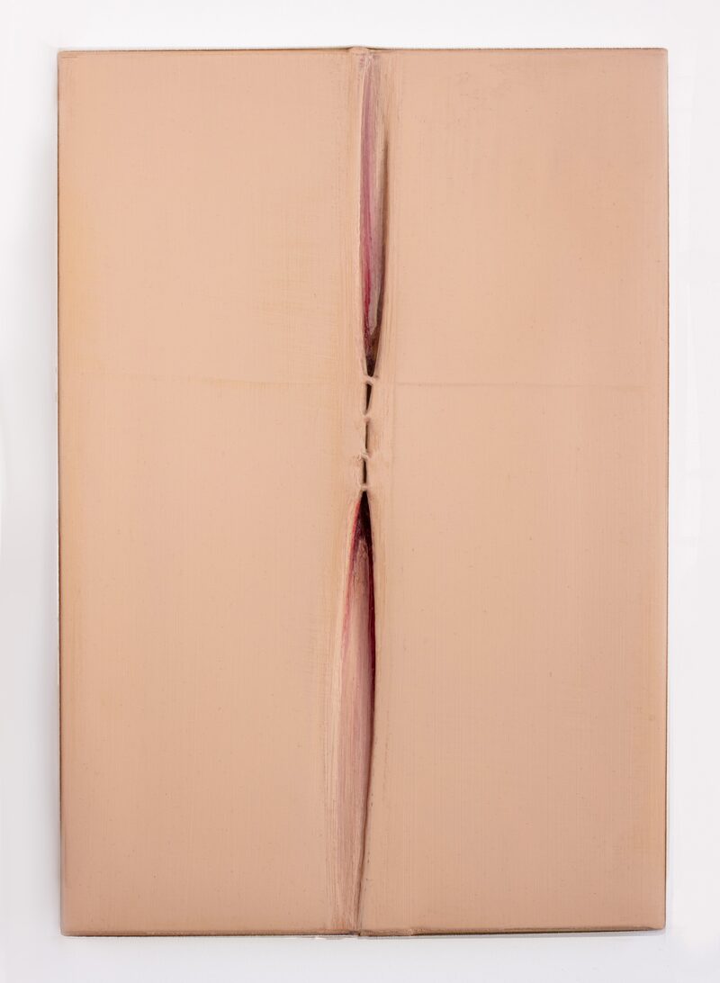 That Lovely Land of Might-Have-Been