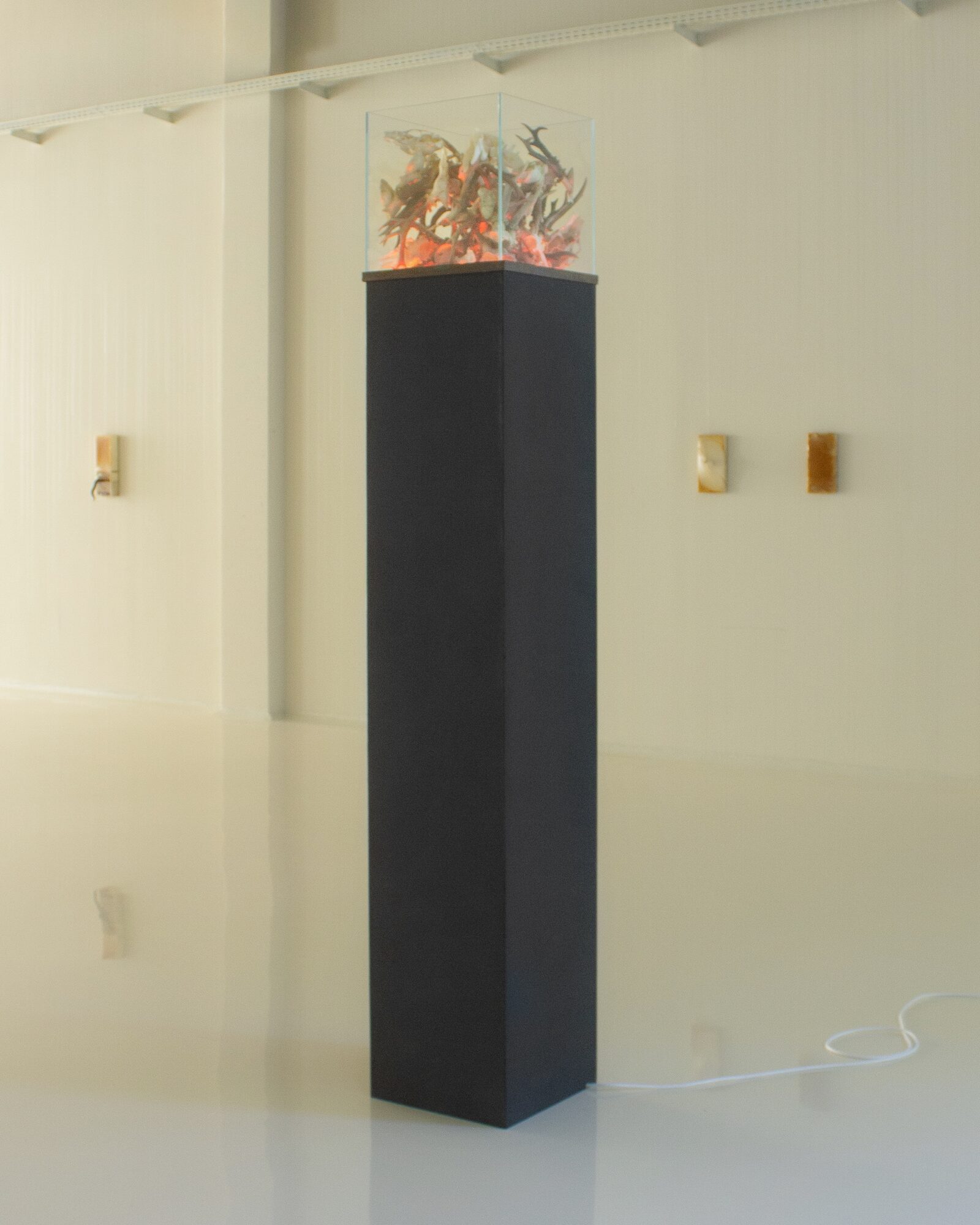 Image gallery INNER : LICHT