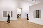 Peter Hujar / Liz Deschenes: Persistence of Vision