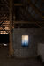 The Lighted Trail