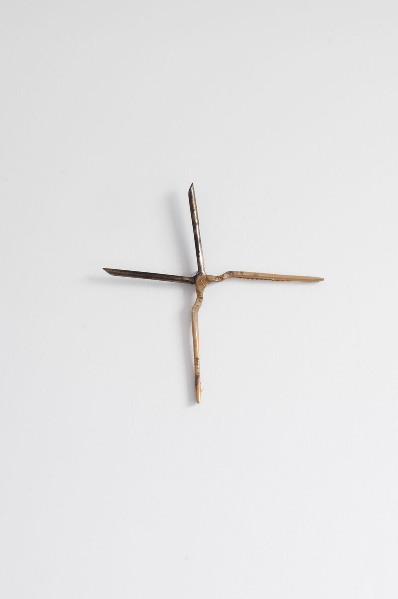 The Thorn Stigmata and The Faded Branch of The Crown