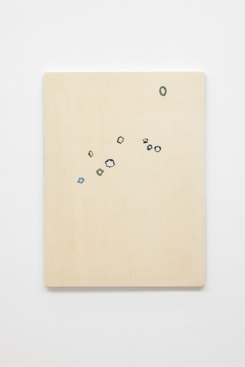 Cathy Wilkes