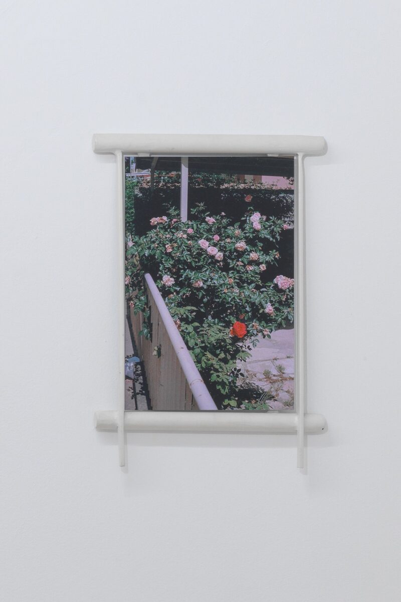 Syndromes of Synthetic Never