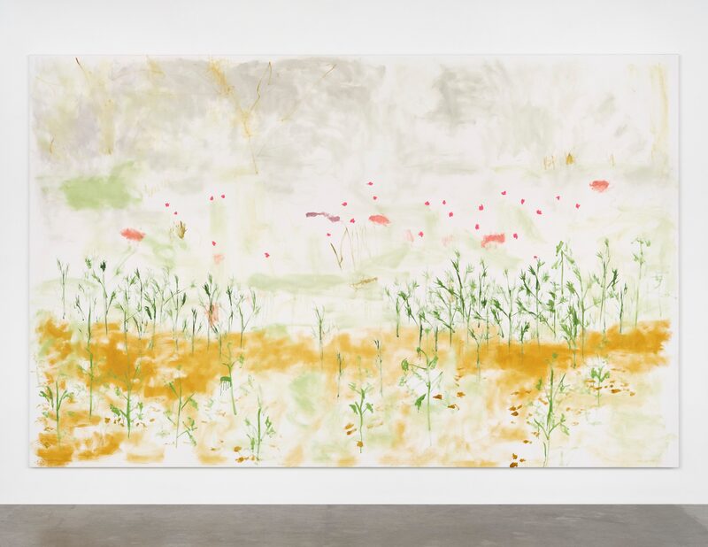 Trevor Shimizu