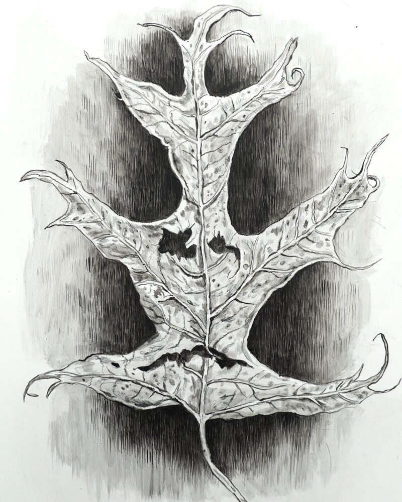 Natural Resistance