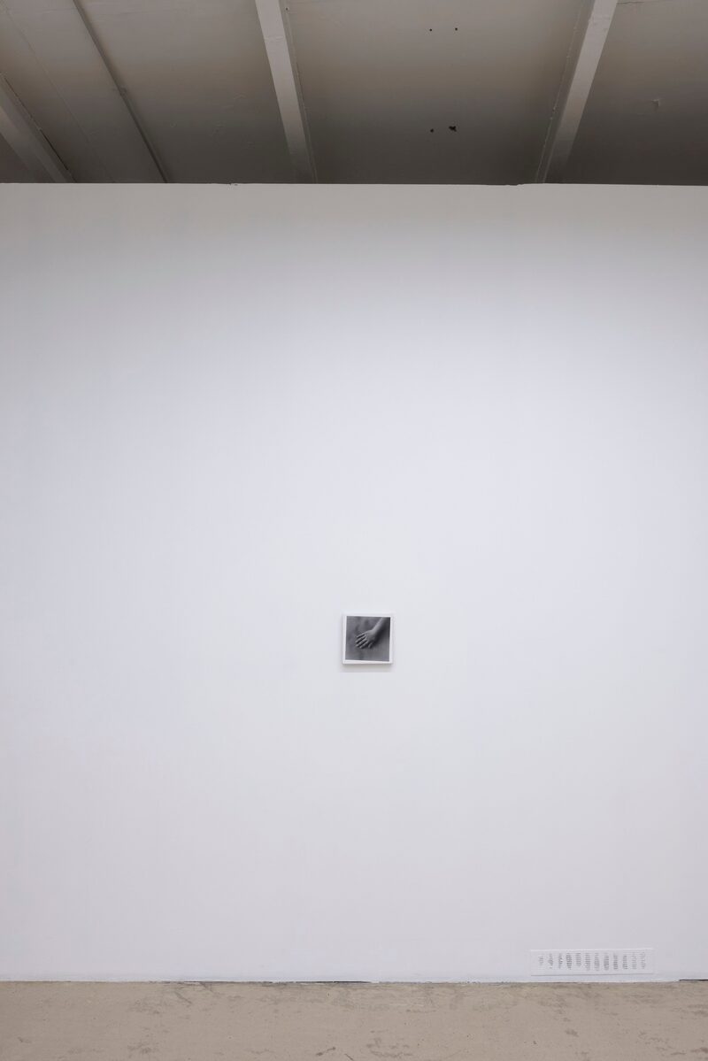 Circles Are Better Than Lines (oda pieskārienam)