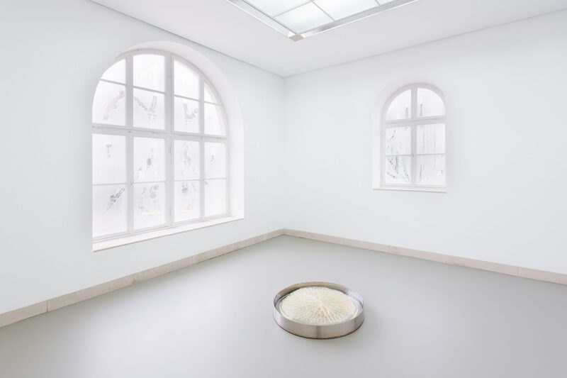 Vessels of Unbecoming