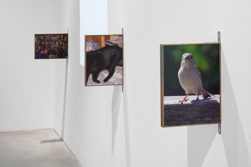 Locomotion (The Unfinished Path)