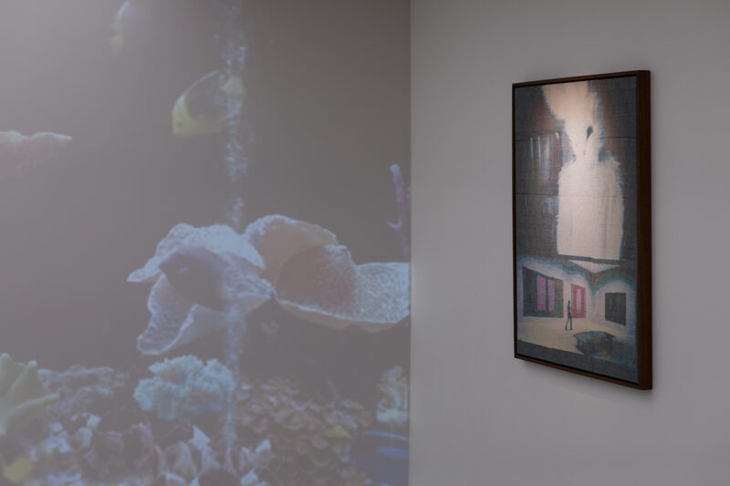 The Most Normal Person in the World